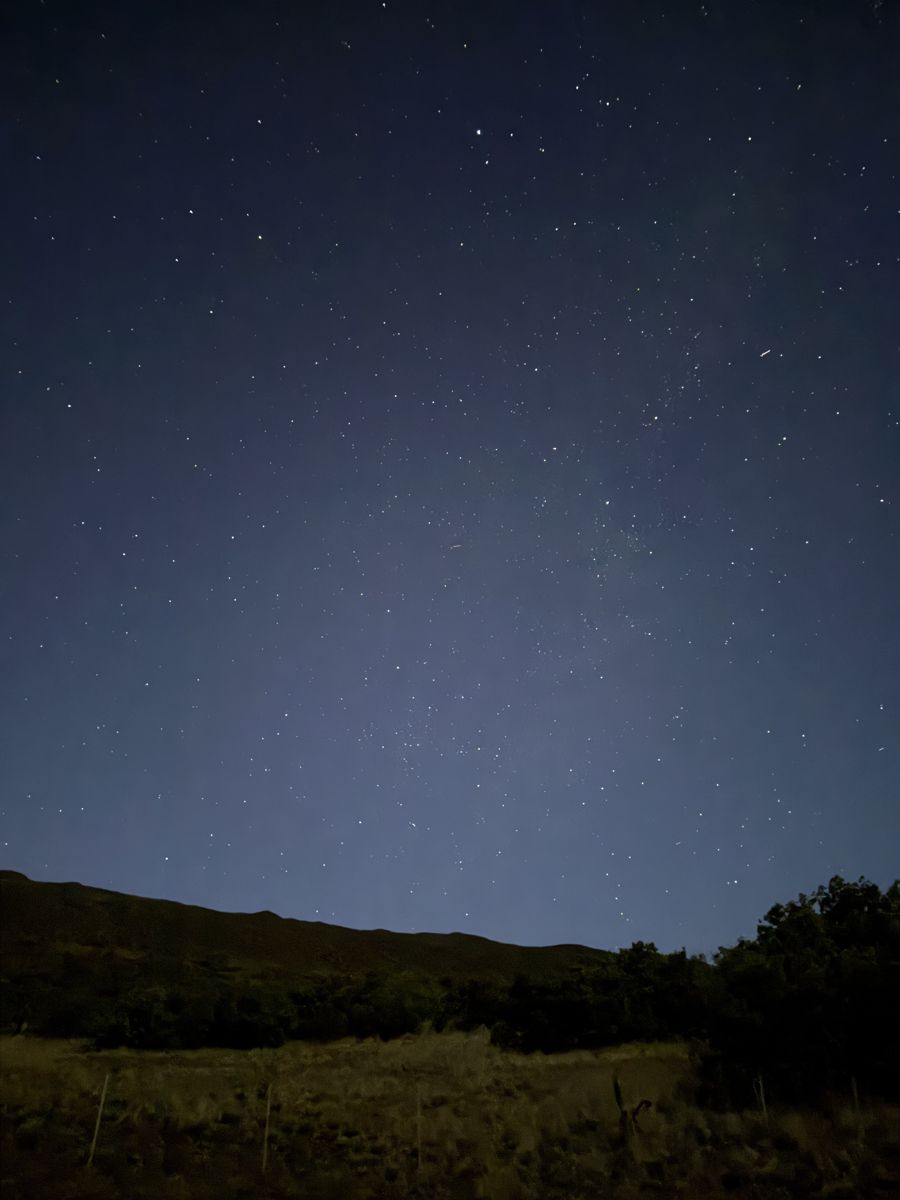 マウナケア中腹から見た満天の星空